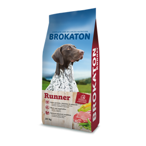 2.8429037013135 brokaton runner_07022019_180915.png